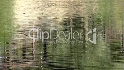 River reflection close-up