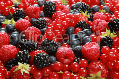 Beeren