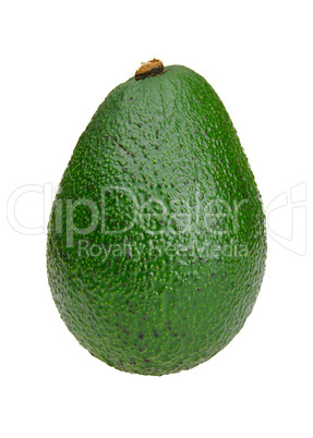 Avocado 01