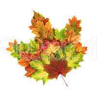 Bunte Herbstblätter als ein Blatt geformt