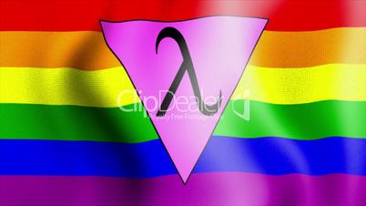 waving rainbow flag lambda triangle