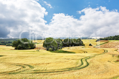 Landschaft im Sommer 657 himme