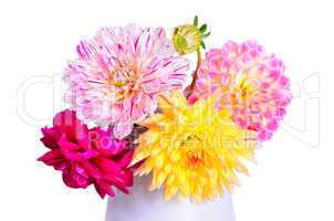 bunte Herbst Blumen Dahlien