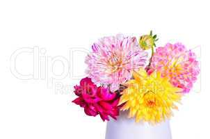 bunte Herbst Blumen Dahlien