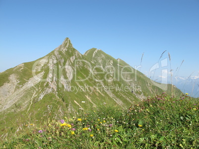 Brienzer Rothorn