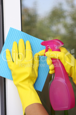 Fenster putzen