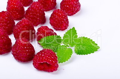raspberry (Rubus idaeus)
