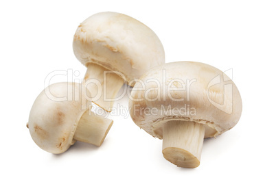 Button mushrooms