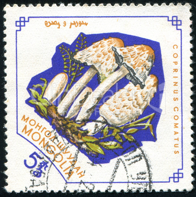 postage stamp