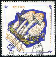 postage stamp