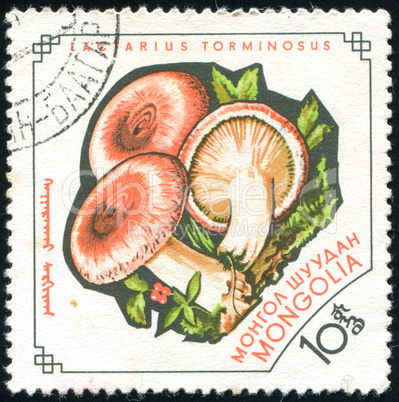 postage stamp