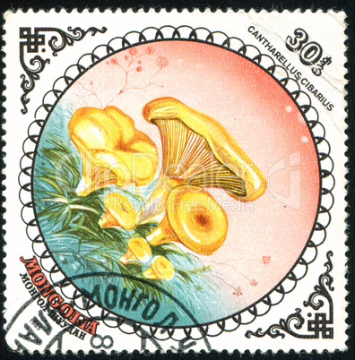 postage stamp