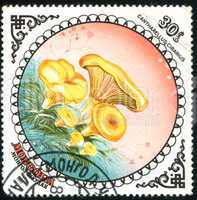 postage stamp