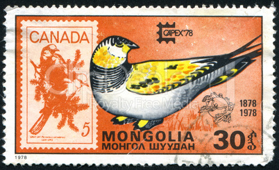 postage stamp