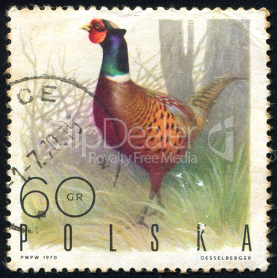 postage stamp