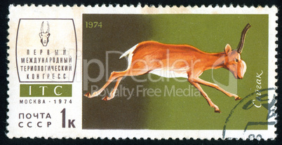 postage stamp