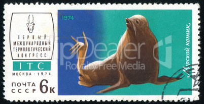 postage stamp