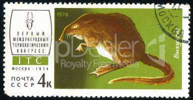 postage stamp