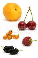 set fruits