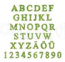 Alphabet aus Buchstaben in einer Rasenform
