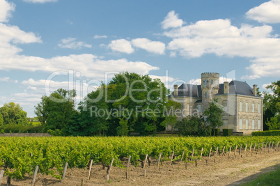 Chateau and vineyard in Margaux, Bordeaux, France