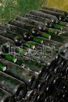 bottles in wine cellar