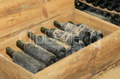 old bottles in wine cellar