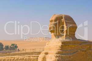 Sphinx and pyramids at Giza, Cairo