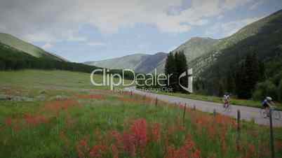 (1268) Beautiful Summer Hign Mountain Wilderness Landscape with Meadow of Wildflowers and Bicycling Road - Aspen Colorado