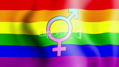 waving rainbow flag bisexual