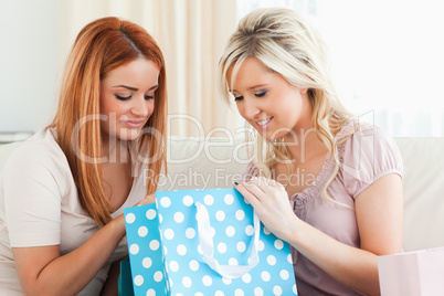 Young Charming Women with shopping bags