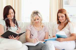 Young women studying together