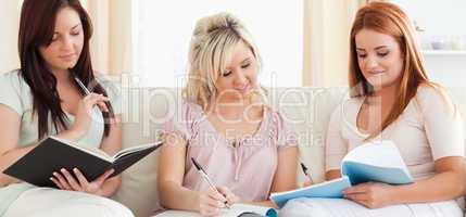 Charming women studying together