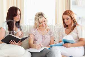 Cute women studying together