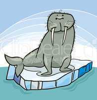 Walrus on floating ice