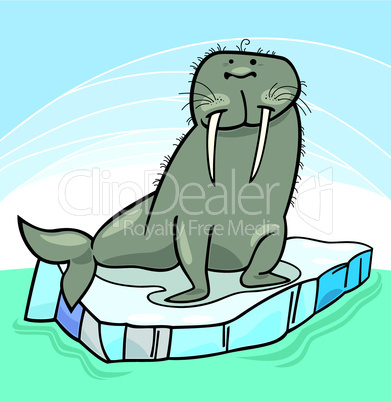 funny walrus cartoon