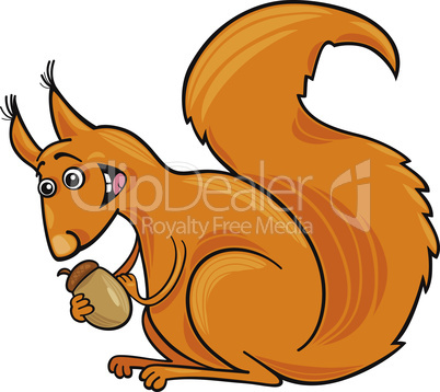 cartoon Squirrel