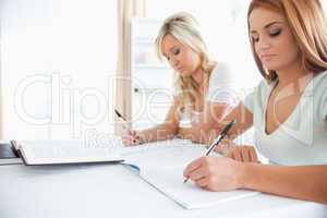 Portrait of Students sitting at a table doing their homework