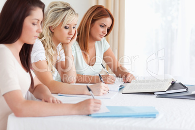 Portrait of Students learning at a table