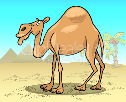 dromedary camel cartoon