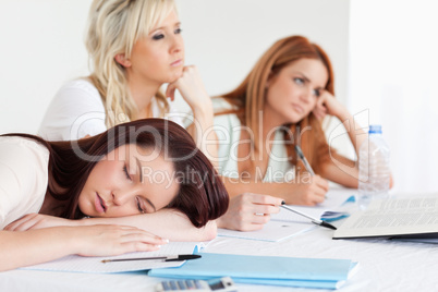 University students one sleeping sitting at a table