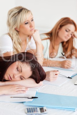 Charming Students one sleeping sitting at a table