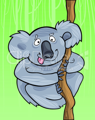 koala bear cartoon