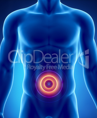 Pain in abdominal organs concept