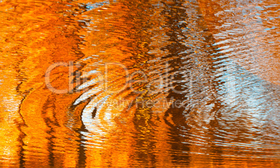 reflections in the water, abstract autumn background