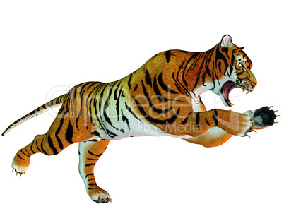 springender Tiger