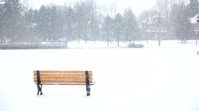 Park bench