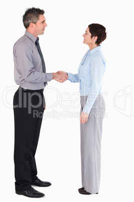 Managers shaking hands