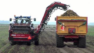 potato harvesting tractor and truck
