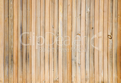 Texture of pine wood